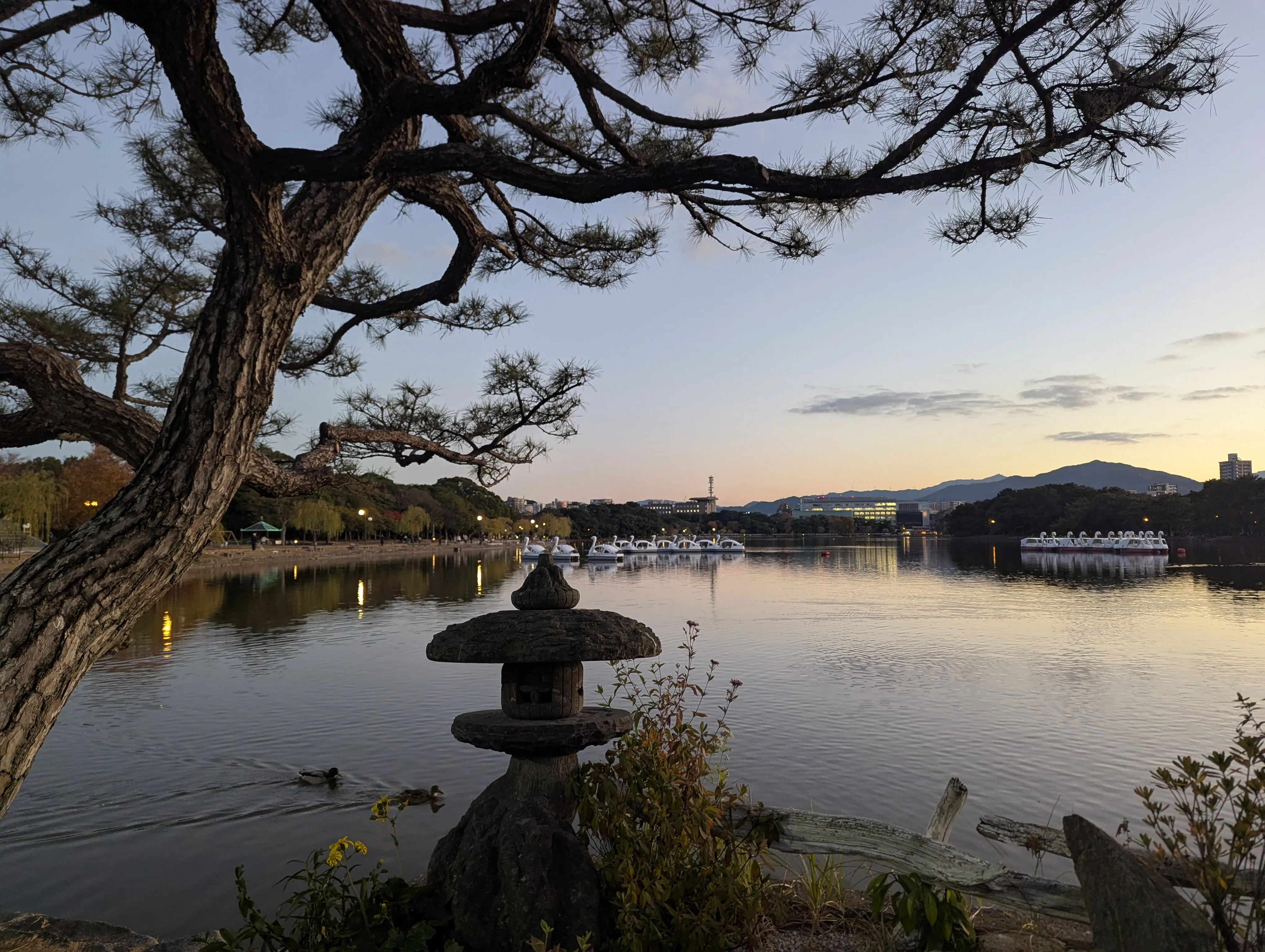 A very aesthetic photo